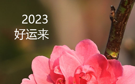 2023 为每一位正在前行的朋友祝福